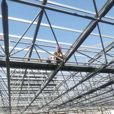 Individuell angepasste Gitter-Schalen-Struktur, die einfach zusammengebaut wird