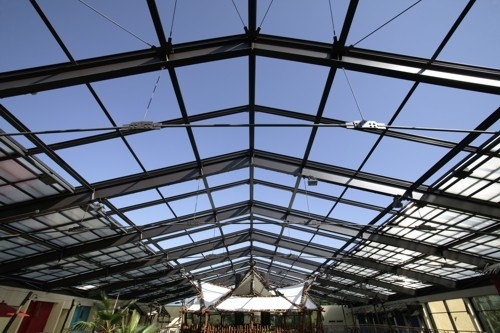Dachfenster für Botanische Gärten Maximieren des natürlichen Lichts für blühendes Pflanzenleben