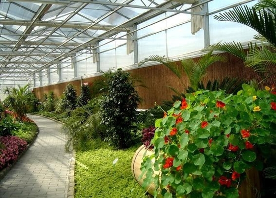 Dachfenster für Botanische Gärten Maximieren des natürlichen Lichts für blühendes Pflanzenleben