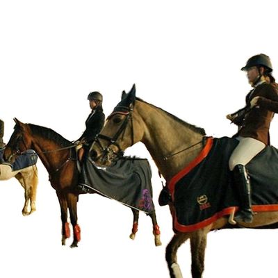 Leichtstahlbau für eine Indoor-Reithalle