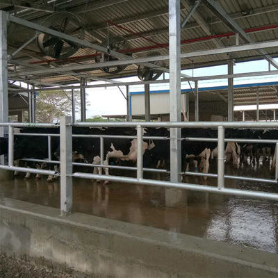 Professioneller Fertigteil-Stahlkonstruktions-Raumfachwerk-Hühnerfarmgebäude