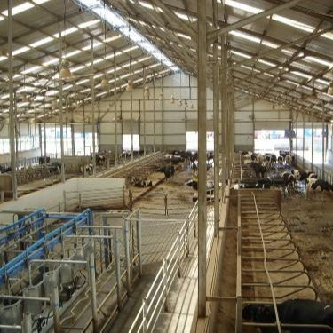 Kundenspezifischer Geflügelstall aus Stahlkonstruktion mit schneller Installation